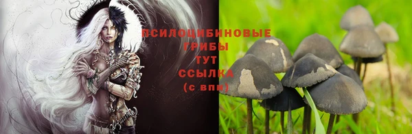 МДМА Абаза