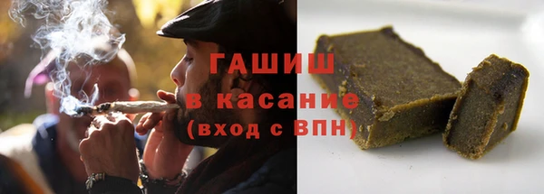 хмурый Пересвет