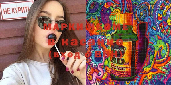 хмурый Алексин