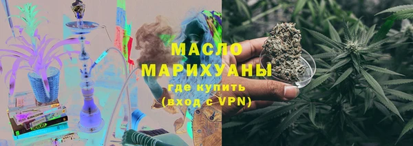 хмурый Пересвет