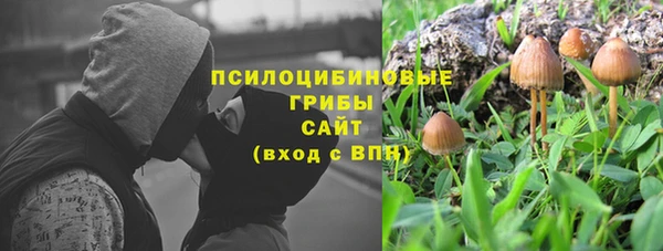 хмурый Алексин