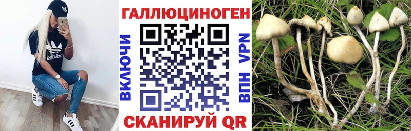Галлюциногенные грибы Psilocybe  Аткарск 
